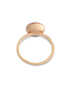 as25-583_rose4_1400x_bf206e32-7137-4b46-9df1-60e5dec42a93.png