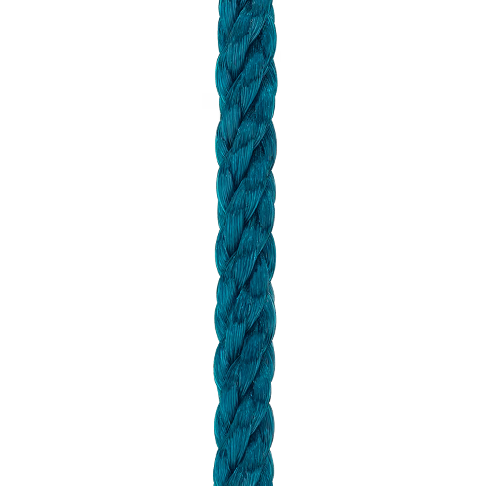 6b1177-c_774cebab-de85-4c92-8e57-84d5cf1f2369.png