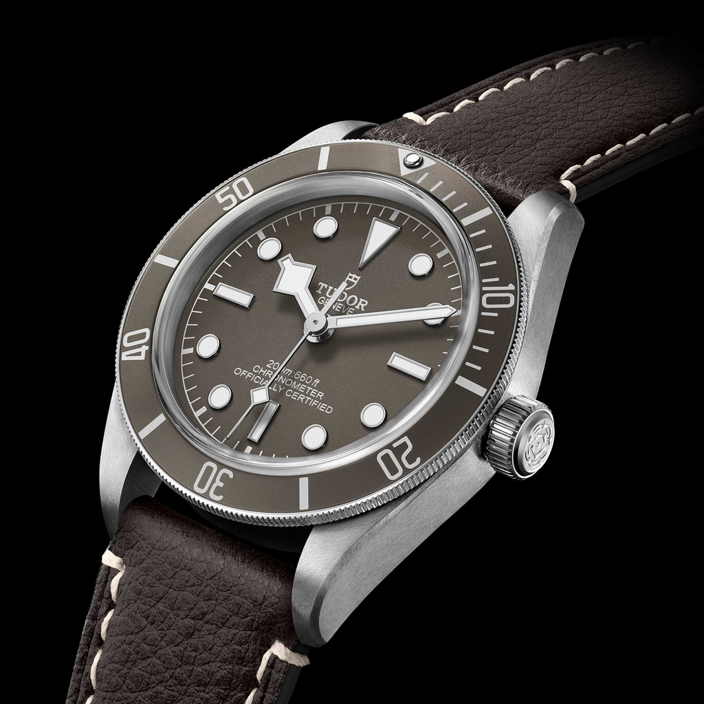 tudor-m79010sg-00013_72fb10f8-ef50-42e3-af4c-23d76f93c668.jpg