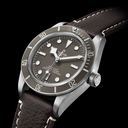 tudor-m79010sg-00013_72fb10f8-ef50-42e3-af4c-23d76f93c668.jpg