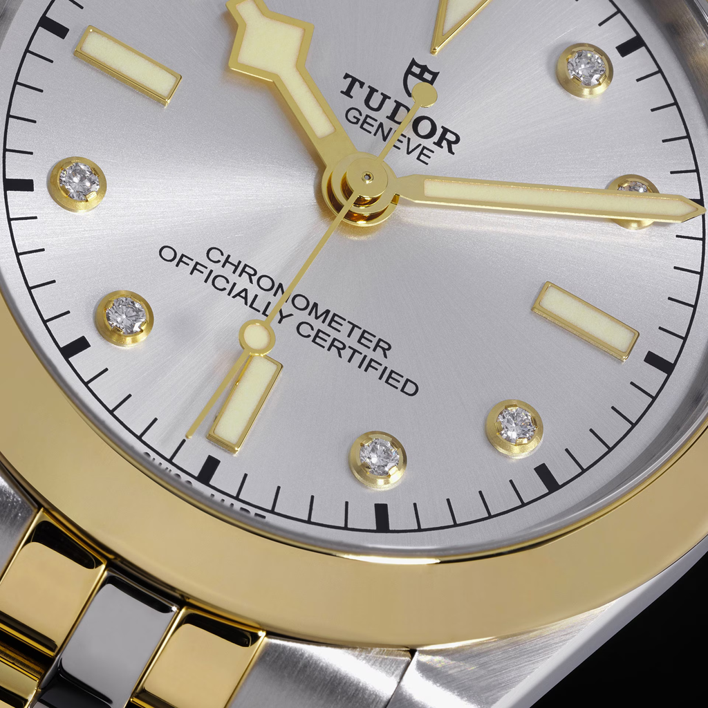 tudor-m79663-00071_906645ea-62be-40b0-b864-a5a0573698d8.png