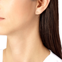 8b0312-w_c00abe50-1dc9-40b2-ab63-76a5e3b8b936.png