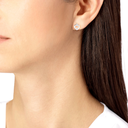8b0311-w_17ee0cbf-068f-4c0f-b577-4517a7124bfc.png