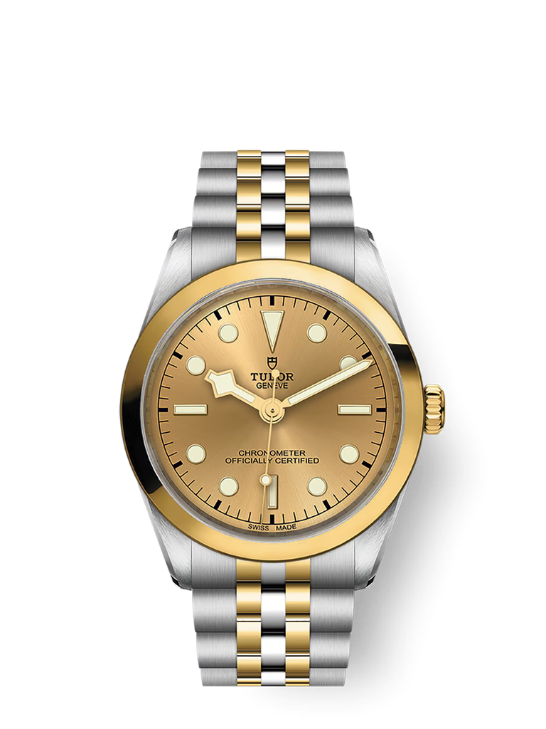 tudor-m79643-0005_bb91d346-3517-466f-b795-def05b7a906c.png