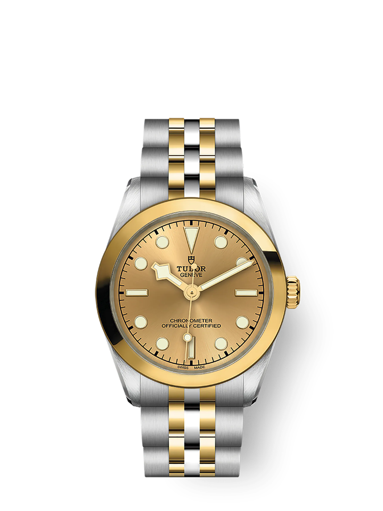 tudor-m79603-0005_c5dbdb2d-f8f9-42e0-9b15-550b61fa9d31.png