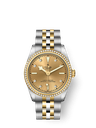 tudor-m79613-0007_14c9db83-06d7-4bfa-b726-98844bcb4158.png