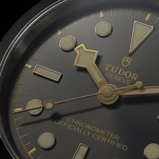 tudor-m79660-00014_e7fb3c3b-09dd-42f2-a853-d25a107ac276.png
