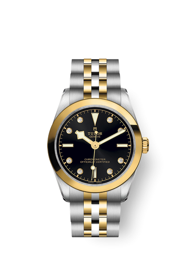 tudor-m79603-0006_2af58839-d80f-45e5-8b74-5be7a0963be7.png