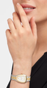 1534361_913f5972-2689-4e81-85db-74379d09d0fd.png
