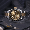 tudor-m79733n-00041_81ace4d1-9a2a-4aad-8776-360238b5be2d.png