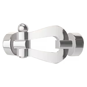 Force 10 buckle