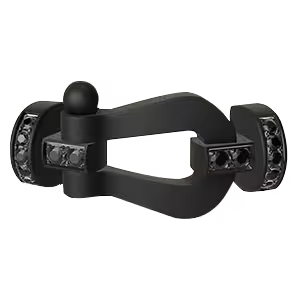 Force 10 buckle