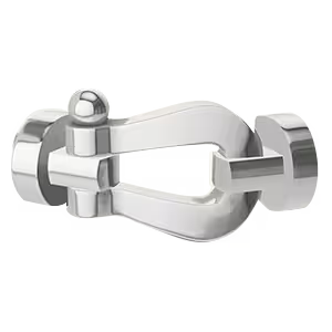 Force 10 buckle