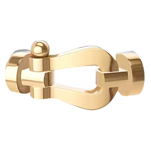 Force 10 buckle