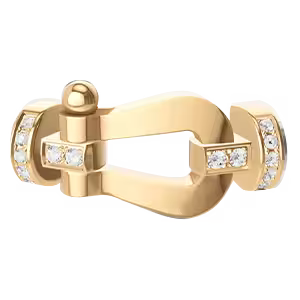 Force 10 buckle