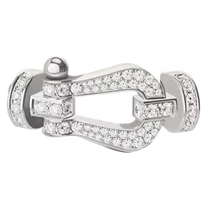 Force 10 buckle