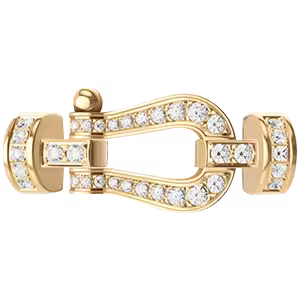 Force 10 buckle