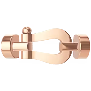 Force 10 buckle