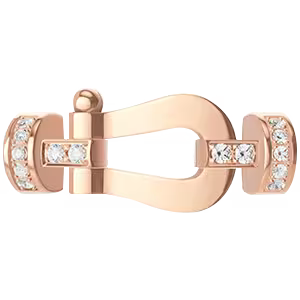 Force 10 buckle