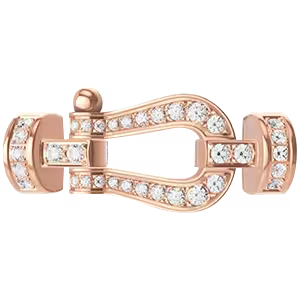 Force 10 buckle