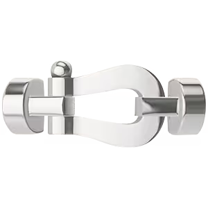 Force 10 buckle