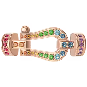 Force 10 buckle