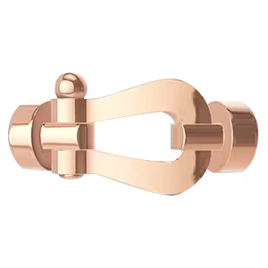 Force 10 buckle