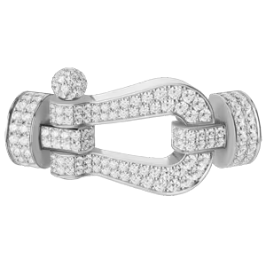 Force 10 buckle