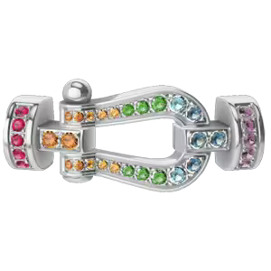Force 10 buckle