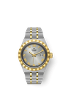 Tudor Royal