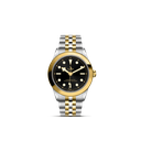 Black Bay 39 S&G