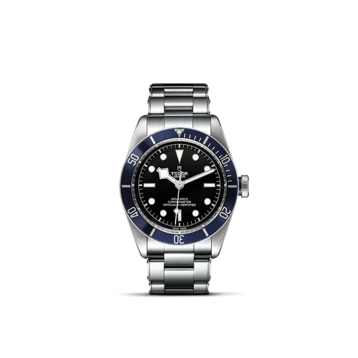 [M79230B-0008]  Tudor - Black Bay 41