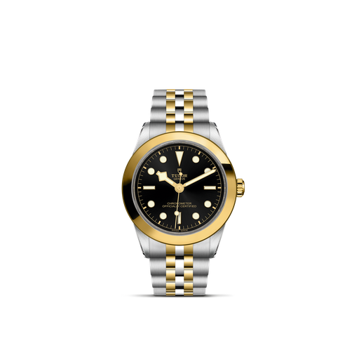 [M79663-0001]  Tudor - Black Bay 39 S&G