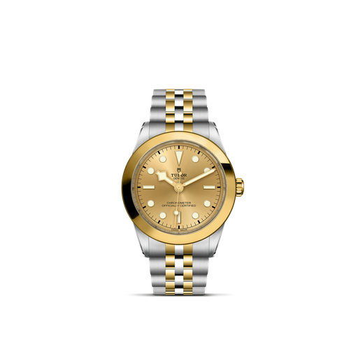 [M79663-0005]  Tudor - Black Bay 39 S&G